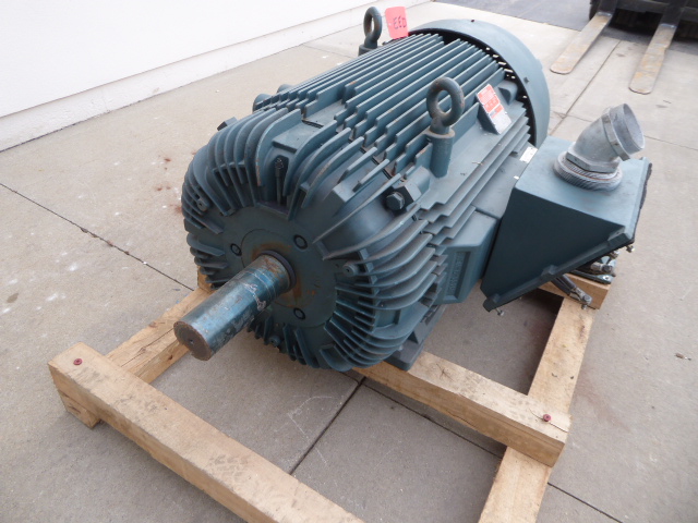 Шілтерлі іш киімдегі ит стилі Еркек попка синаса конча.